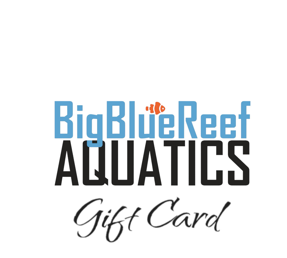 Big Blue Reef Aquatics eGift Card - Perfect Gift for Aquarium Enthusiasts"